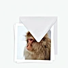 Cards &amp; stationery