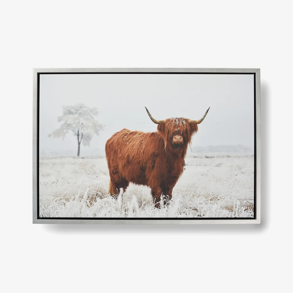 Custom printed products in Romania: Wall art